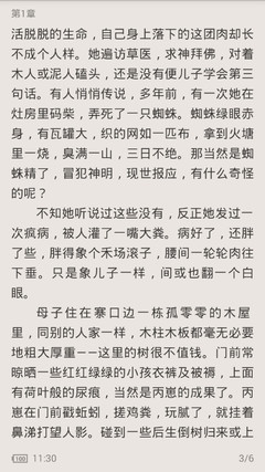 在菲律宾境内护照被偷了还能补办吗，没有护照还可以回国吗？